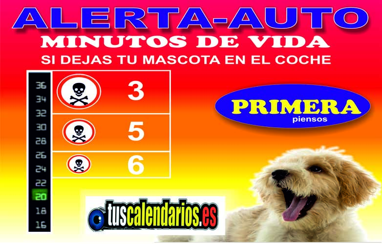 termometros para mascotas